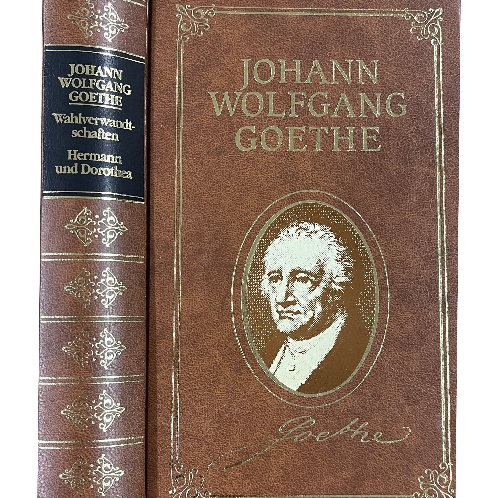 Meisterwerke der Literatur Band 6 - Johann Wolfgang Goethe: Wahlverwandschaften - Herrmann und Dorothea